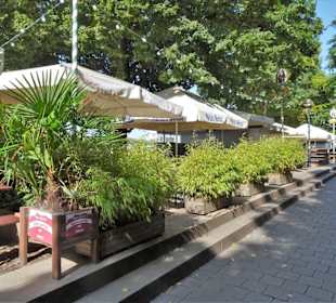 Impressionen von der morgendlichen Schlachte