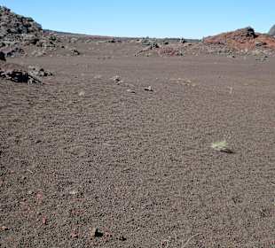 Impressionen aus der Plaine des Sables