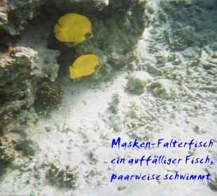 Flachwasser