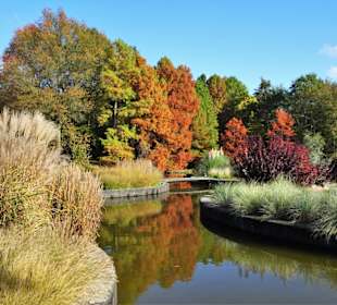 Rundgang durch den Botanischen Garten Hamburg