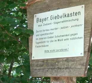 Naturerlebnispfad Sternberg