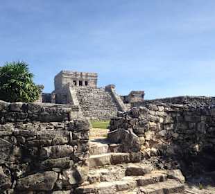 Maya-Ruine in Tulum
