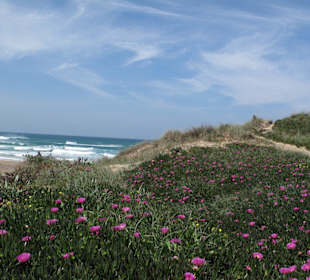 Strand Region Sagres