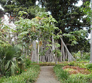 Botanischer Garten 