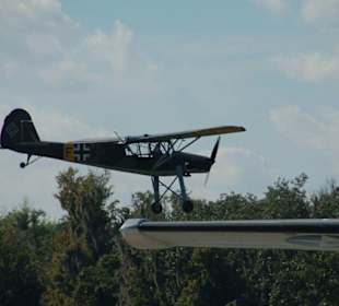 Vorbeiflug des Storch