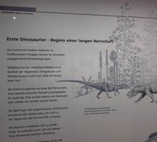 Naturkundemuseum