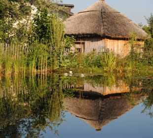 Schwimmteich mit Saunahäuschen