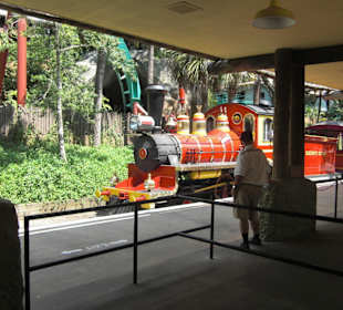 Shuttle zur Parksafari