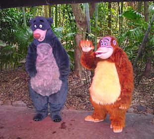 Disney's Animal Kingdom