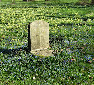 Rundgang über den Lindener Bergfriedhof