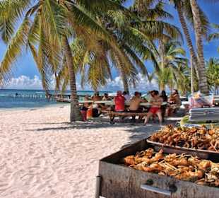 Mittagessen am Strand