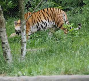 Tierpark Hagenbeck