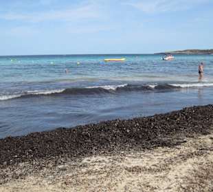 Ein schmutziger Strand mit Algen