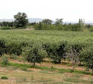 Ölmühle Moulin Saint Pierre