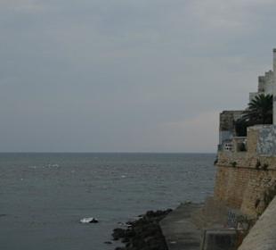 Gallipoli