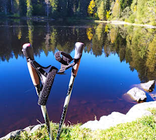 Wandern Hinterzarten