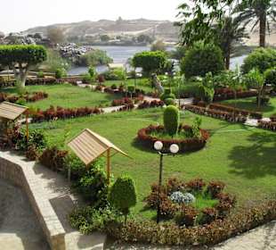 Pflanzenvielfalt im Botanischen Garten
