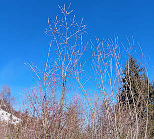 Wandern Bad Hofgastein