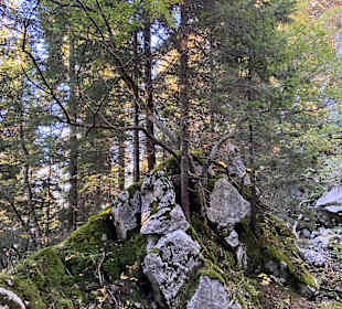 Ski- und Wandergebiet