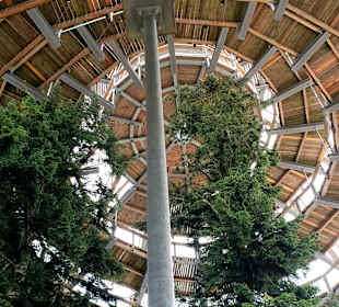 Baumwipfelpfad Bayerischer Wald 