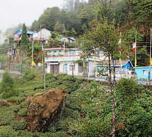 Teehaus Margaret's Deck 