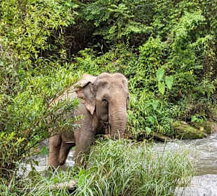 Man verlässt das Zelt: und das sieht man!