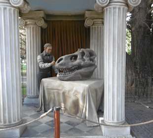 Nachbildung eines Dinosaurierkopfs