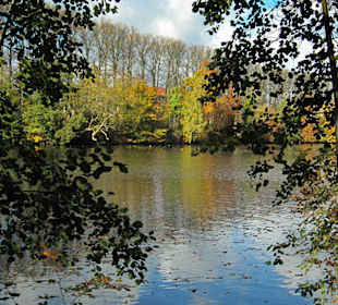 Парк Замка Ойтин.Золотая осень.