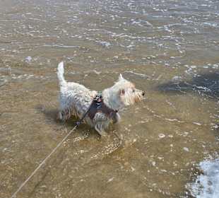 Was für eine Freude