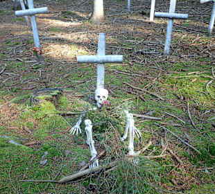 Naturpark Heidenreichsteiner Moor