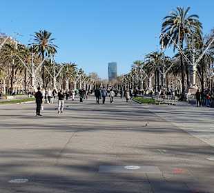 Stadtrundfahrt Barcelona