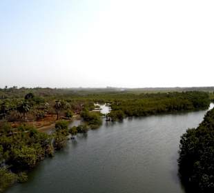 Rzeka Gambia