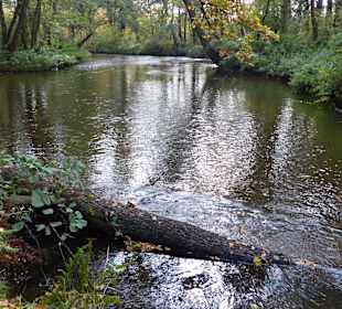 Sehr schöner Weg am Wasser