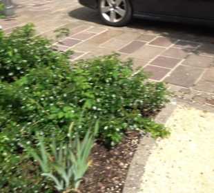 Historische Stadtmauer