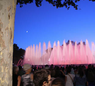 Fuente Magica