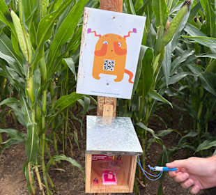 Monster-Maisfeldlabyrinth Alsdorf