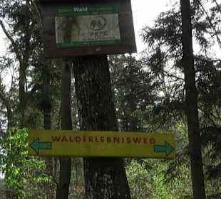 Walderlebnisweg Rottenburg