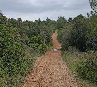 Wanderweg nach Nin