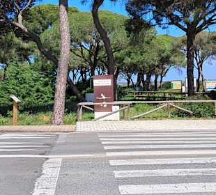 Salina Santa Teresa in Chiclana de la Frontera