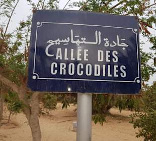 Krokodilfarm Animalia