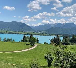 Tegernsee