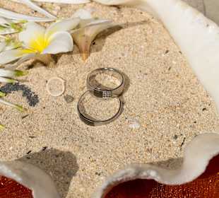 Unsere Ringe gebettet in einer Muschel