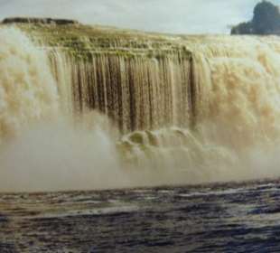 Sapo-Falls / Venezuela