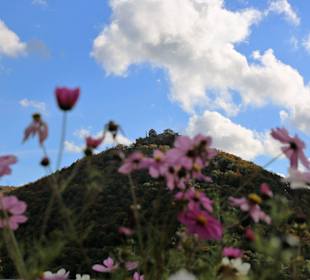 Burgruine Hohen Urach