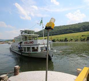 MS Moselland bei Zeltingen
