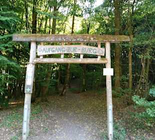 Burg Gräfenstein in Rodalben