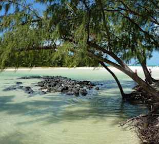 Ile aux Cerfs