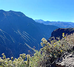 Colca-Canyon