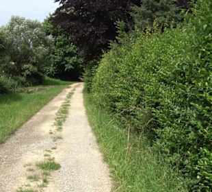 Premiumspazierweg Früchtetrauf-Leisawegle