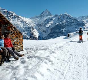 Skigebiet Grindelwald